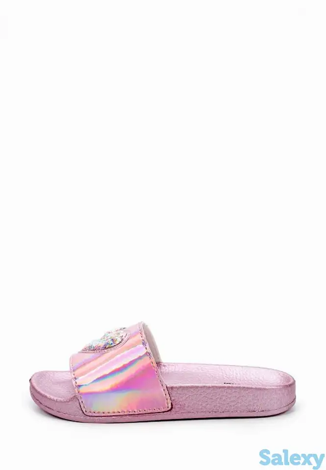 Сланцы t.taccardi, фотография 1