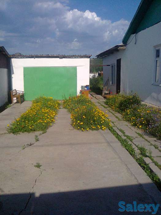 Новая Бухтарма, фотография 10