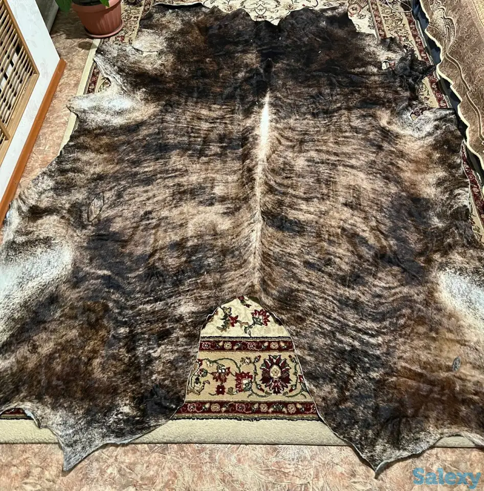 шкуры коровы, фотография 3