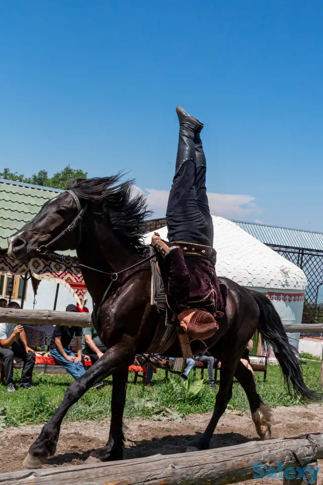Профессиональная фотосессия, Фотограф Алматы, фотография 2