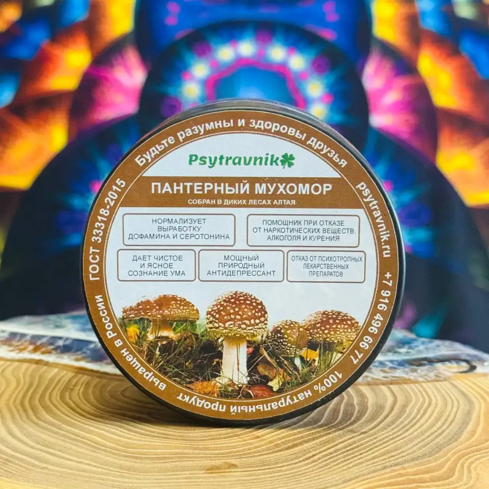 Пантерный мухомор  молотый  50гр., фотография 1