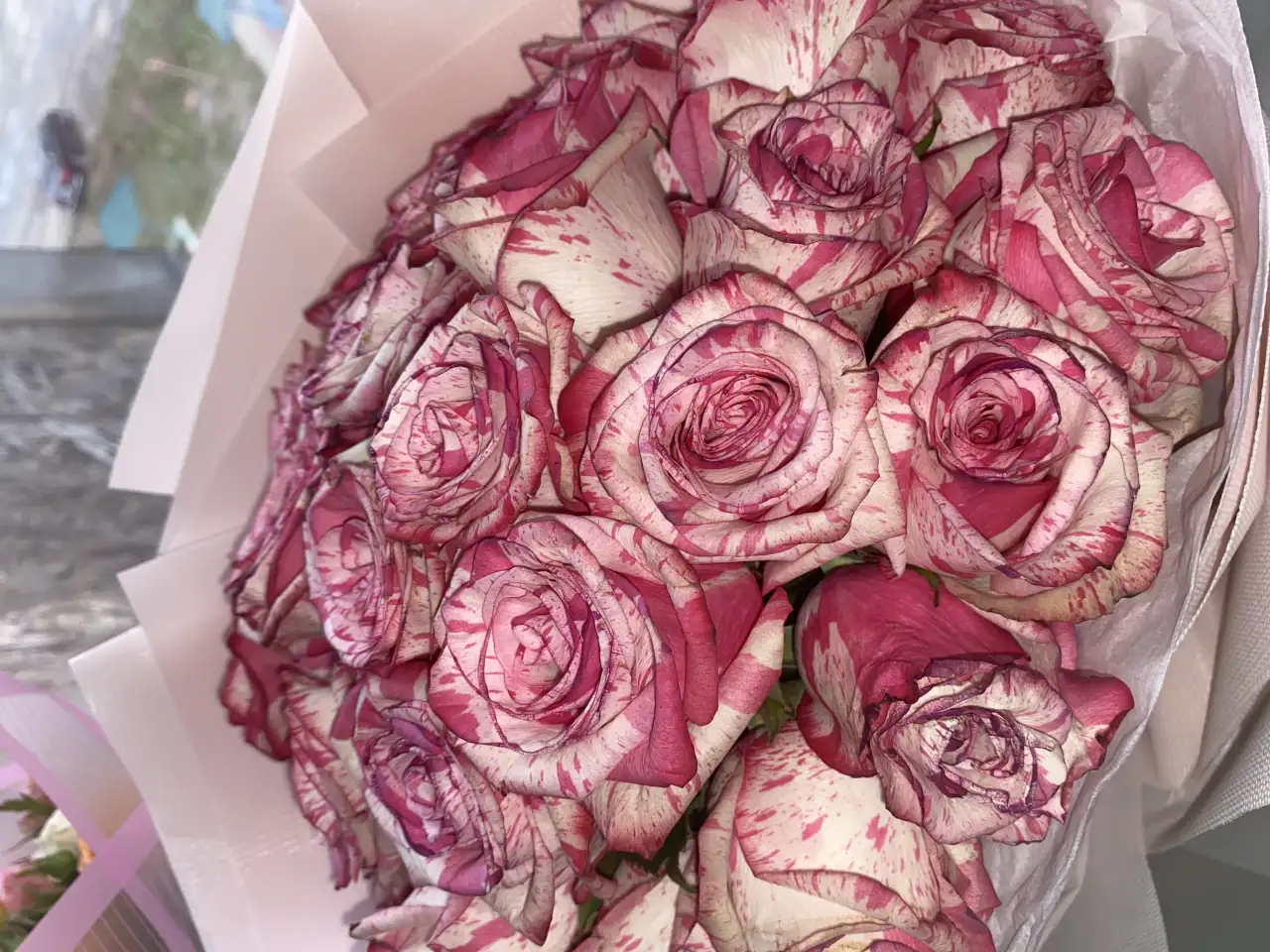 Продам цветы по цене одного, фотография 1