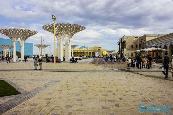 Туры по Туркестанской области., фотография 9