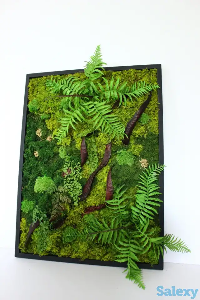 Картины из стабилизированного мха, фотография 5