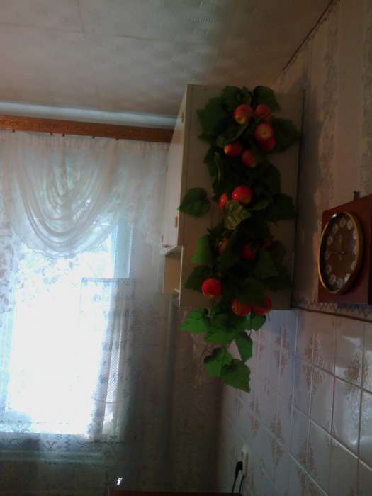 Продам 2х ком. Квартиру рн. Горка Дружбы, фотография 4