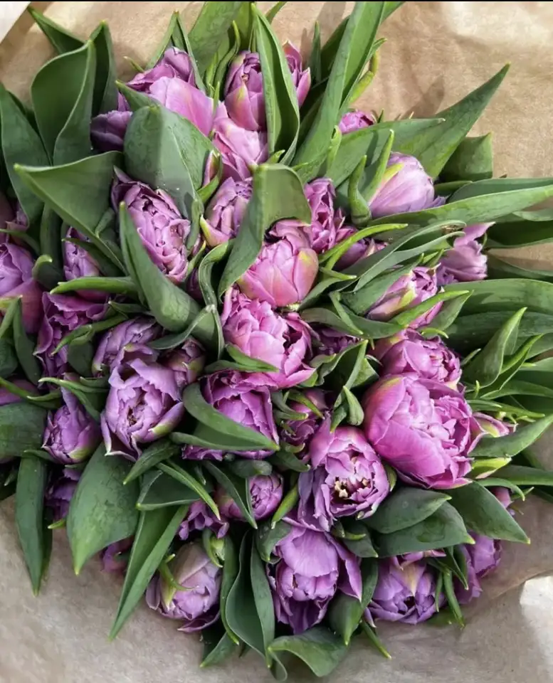 Тюльпаны оптом и в розницу к 8 марта, фотография 8