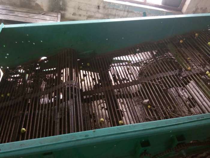 Копалка (картофель), фотография 3