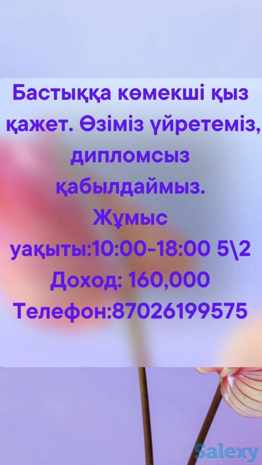 Қыз-руководительге жеке көмекші қажет!, фотография 1