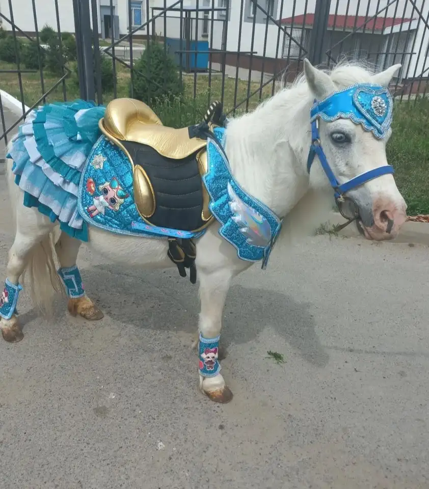 пони на Детский праздник, фотография 3