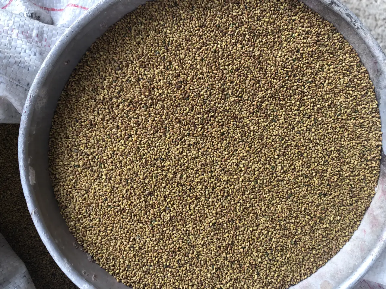 Продаю Семена Люцерны Меркенский район, фотография 5