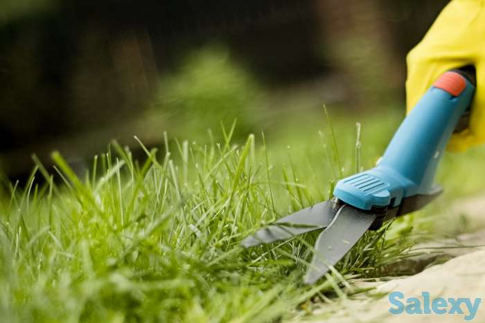 Газон озеленение, фотография 1