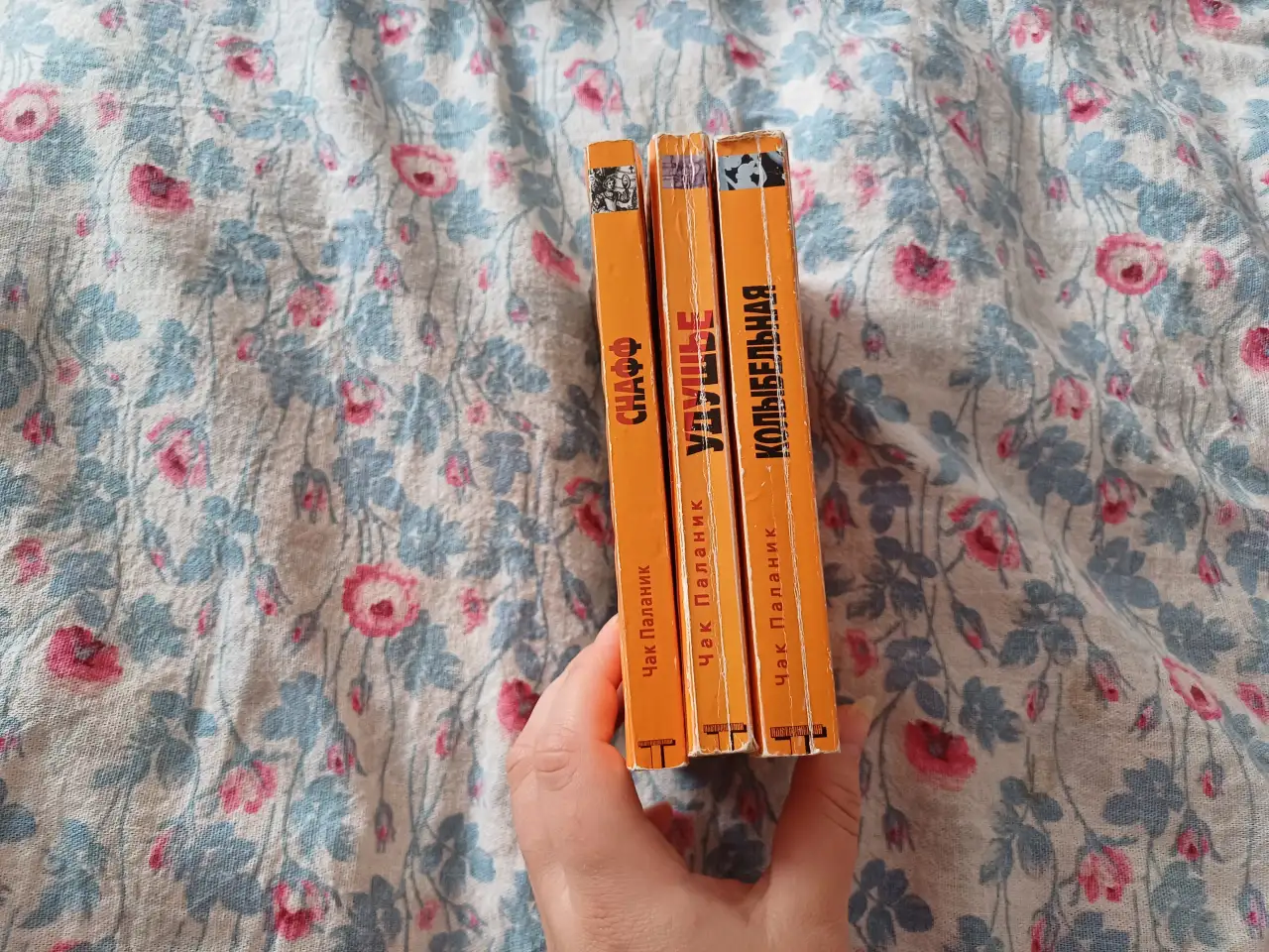 Паланик, фотография 4