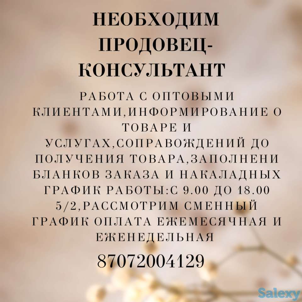 Идет Набор Продавец-Консультант, фотография 1