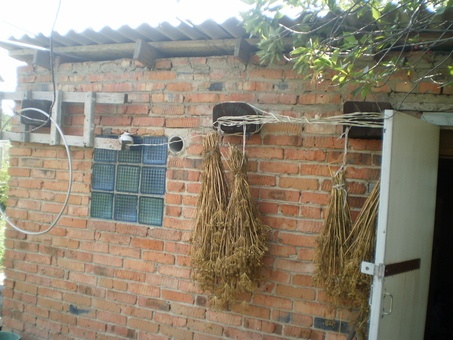 Продам дачу 6 сот дом кирпичный с печью баня скважина, фотография 10