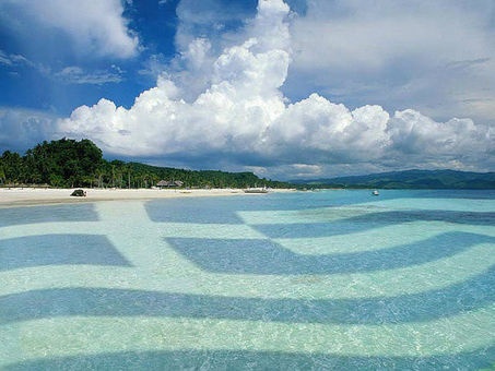 Региональный менеджер., фотография 1