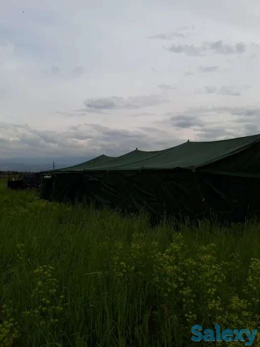 Палатки ОПТОМ! 40 местная, фотография 3