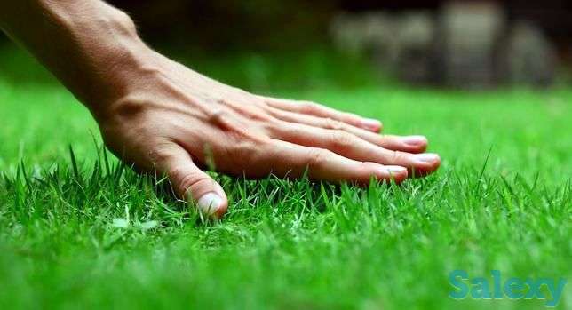 Крестьянское хозяйство сдам в аренду, фотография 1