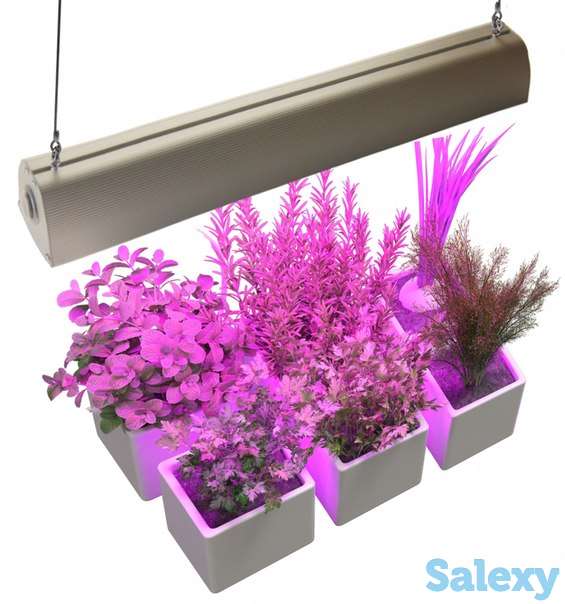 Светодиодные светильники, фотография 1