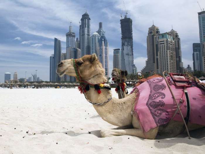 Работа за рубежом, работа за границей, работа в Дубае, ОАЭ, фотография 4