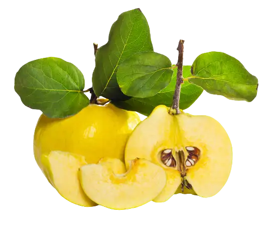 Японская красавица, фотография 1