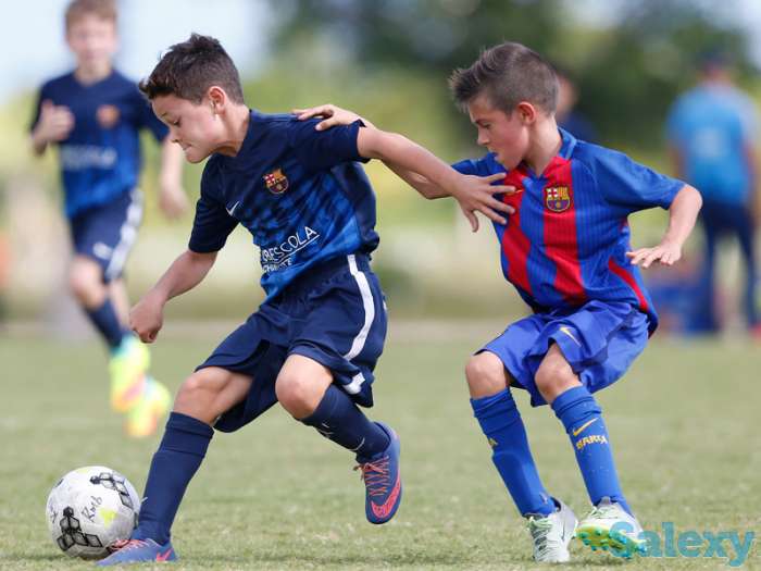 Футбольно-языковая школа 