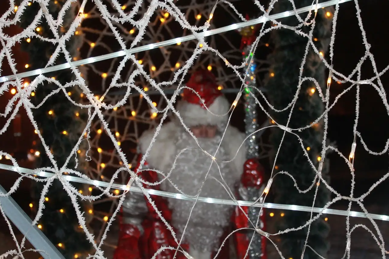 ДЕД МОРОЗ НА ДОМ, фотография 2