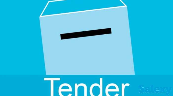 Обучение по Тендерам, фотография 1