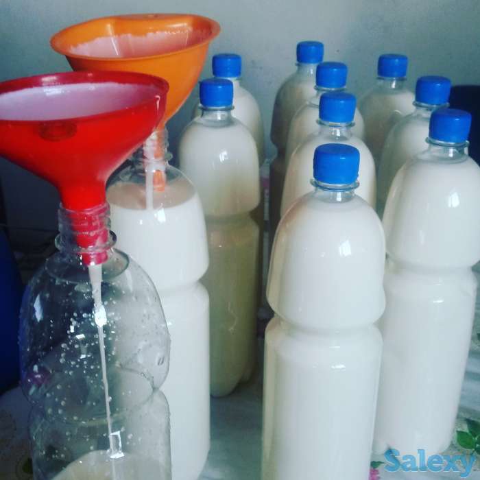 молочная  продукция, фотография 3