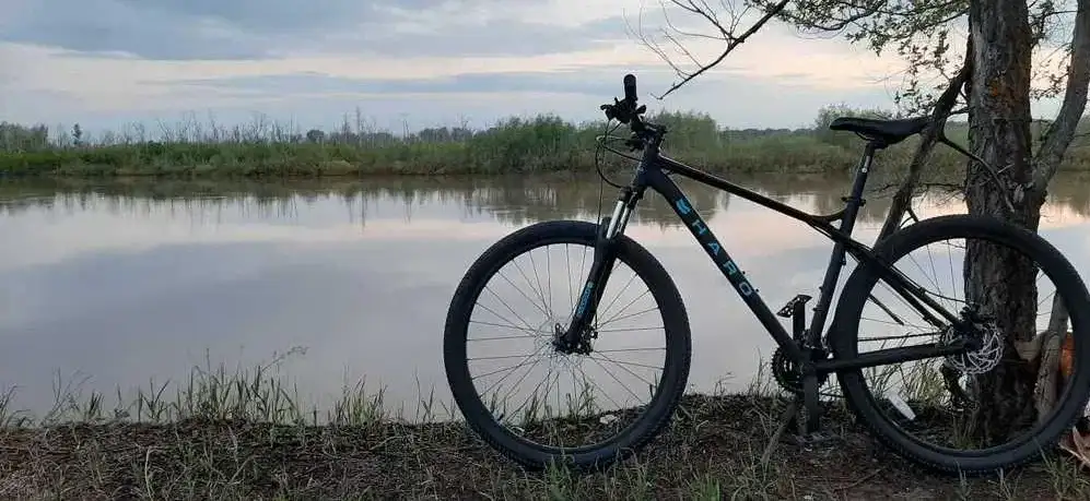 Велосипед Haro Flightline Two 29 2020, фотография 3