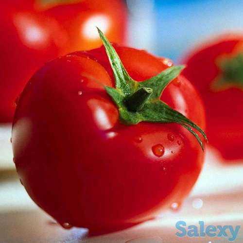 Семена томата Аризона, фотография 1