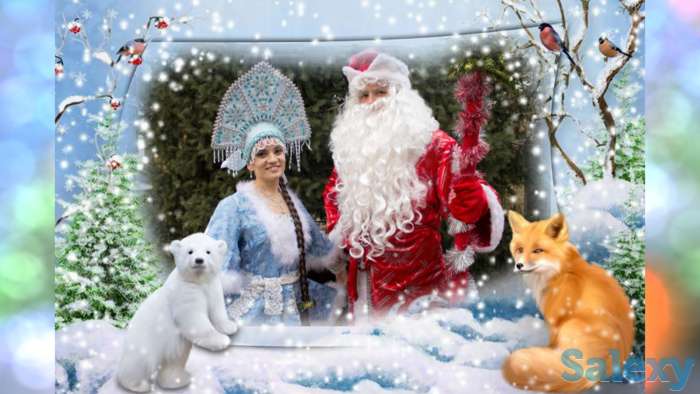 Дед Мороз и Снегурочка; Ведущая на корпоратив, фотография 1