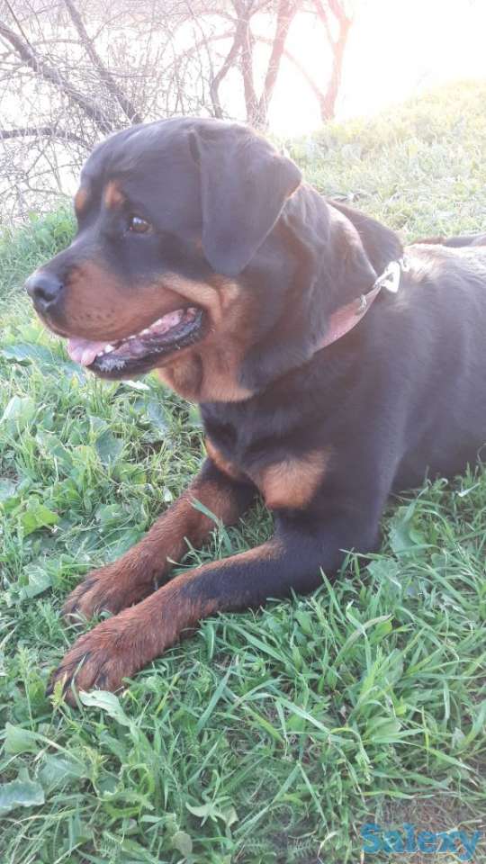 Мкр Жайнак (новостройка), фотография 1