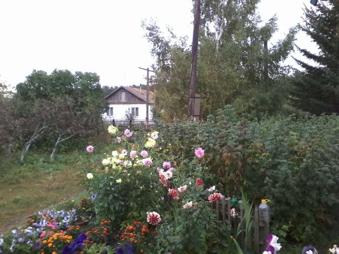 Продам Дом село Урумкай от Щучинска 35км, фотография 4