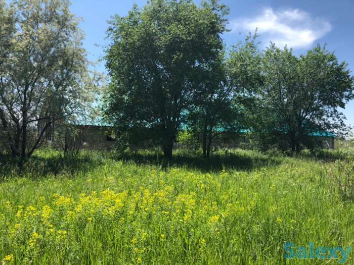 Участок в Талгаре 3,6 га, фотография 3