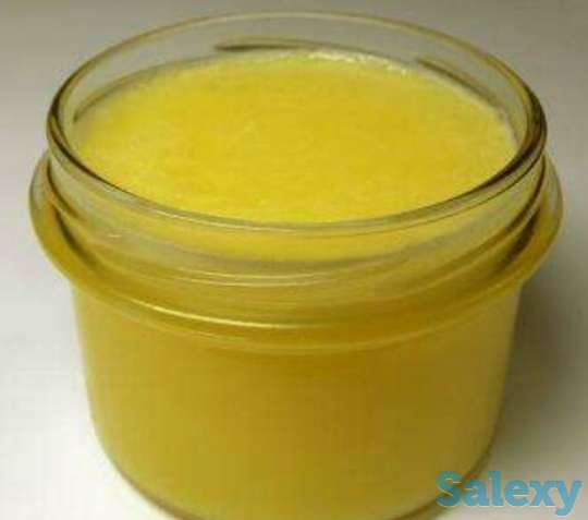 Продаётся мясо конина из Тараза, фотография 3