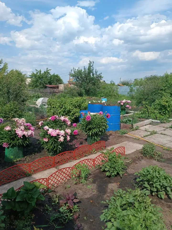 Продам дачу остановка поворотная, фотография 6