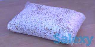 Мицелий грибов вешенки, фотография 1