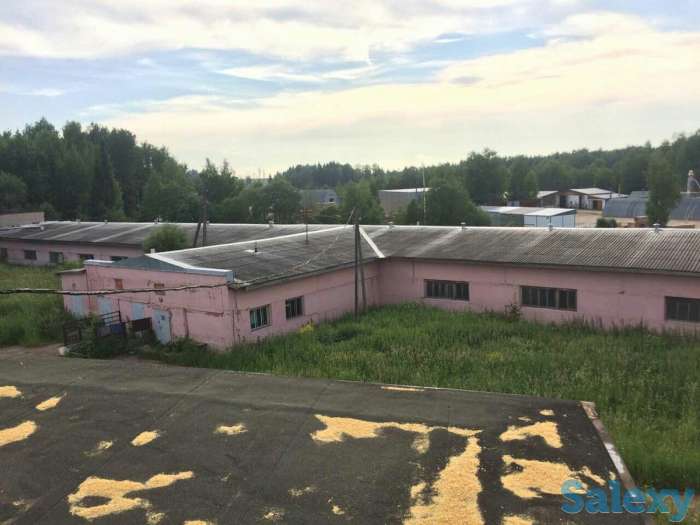 базу продам, Кировсккая обл,Юрьянский р-н,с Загарье, фотография 5