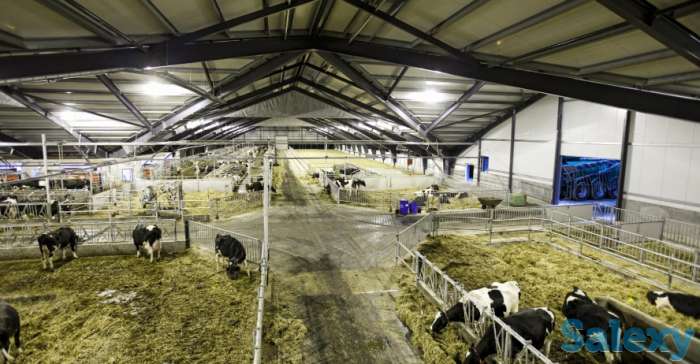 Официальная работа в Германии и Европе., фотография 3