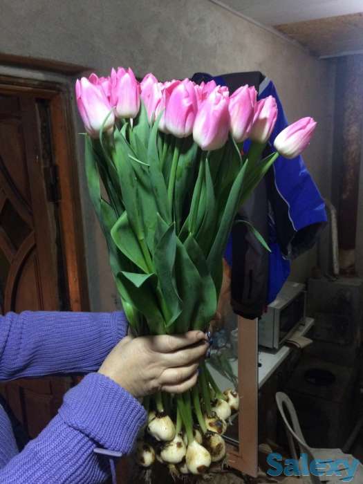 Тюльпаны оптом к 8 марта, фотография 4