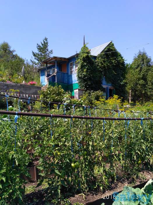 Продам дачу, Аблакетка, фотография 3