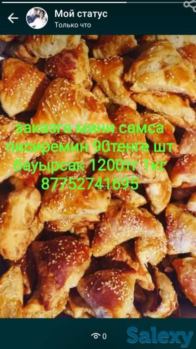 самса, фотография 1