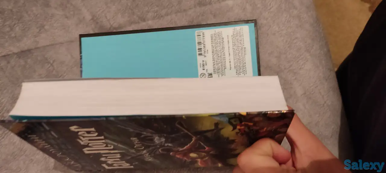 Гарри Поттер 