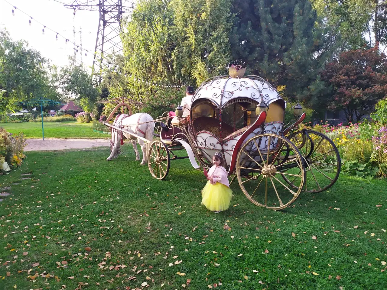 аренда кареты, фотография 11