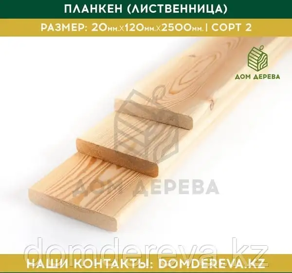 Дом  Дерева, фотография 1