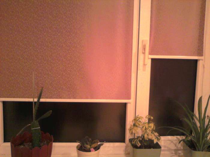 Жалюзи ,Акция!, фотография 3