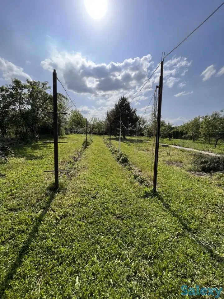 Продам большой дом с двумя входами отдельно и 24 сотки земли, фотография 8