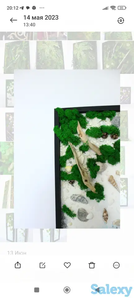 Картины из стабилизированного мха, фотография 3