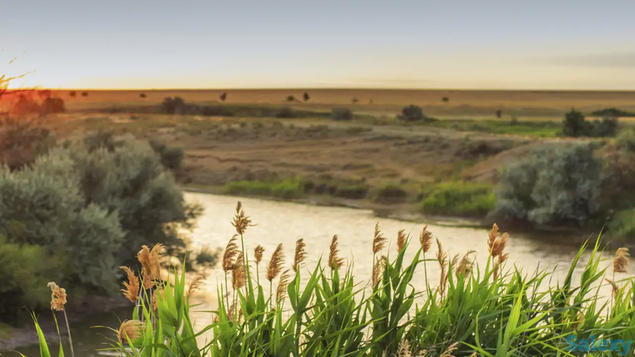 Фото/видеосъемка, фотография 5