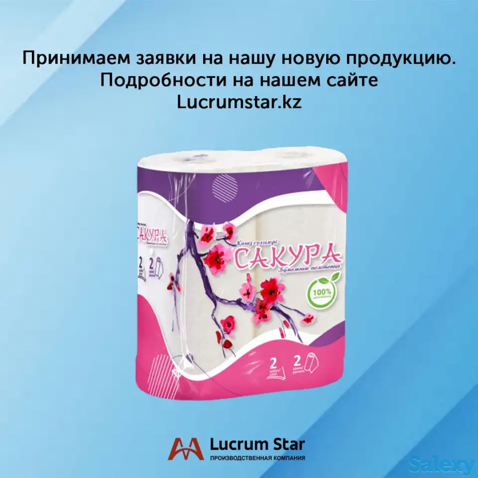 Ищем дистрибьюторов по туалетной бумаге и бумажной продукции, фотография 3